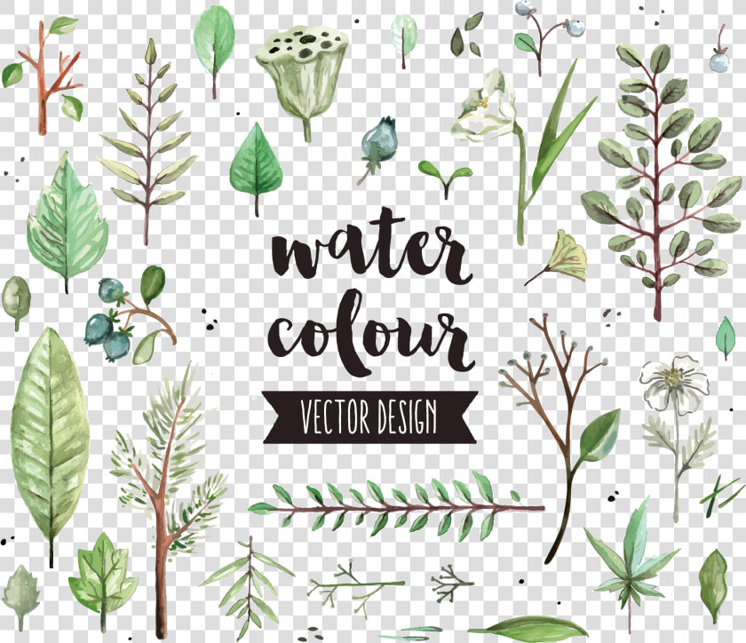 Watercolor Painting Icon Diagram   Watercolor Herbs Vector Free  HD Png DownloadTransparent PNG