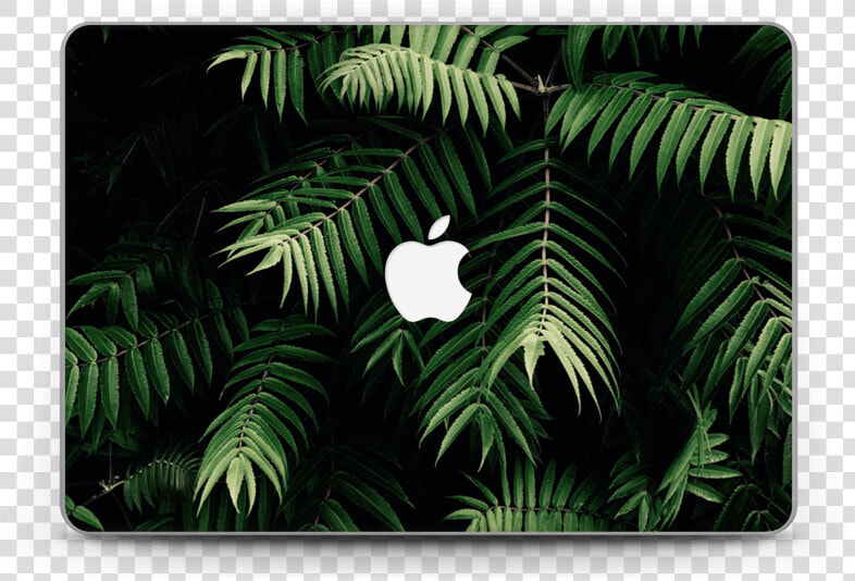 Tropics Skin Macbook Pro Retina 13”   Vinilo De Plantas Png  Transparent PngTransparent PNG