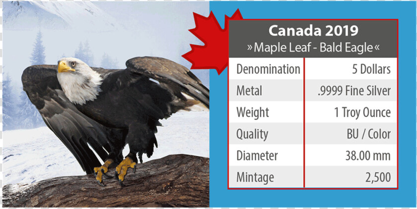 Ibca201957 4   Maple Leaf Bald Eagle Cana Coin  HD Png DownloadTransparent PNG