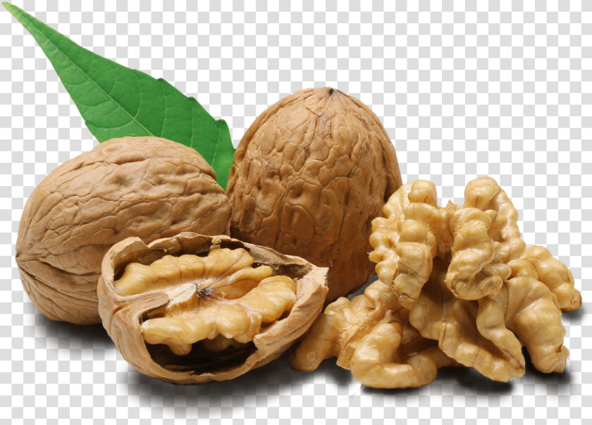 Walnut Png   Walnuts Png  Transparent PngTransparent PNG