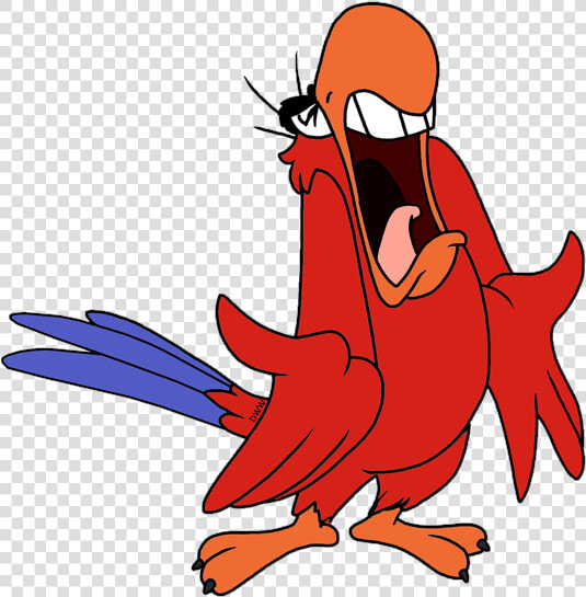 Iago Aladdin Transparent Images   Iago Aladdin Png  Png DownloadTransparent PNG