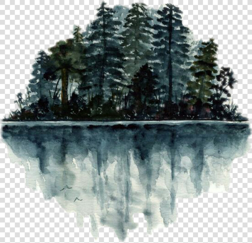  bosque  arboles  pinosaluci  reflejos  cute  nature   Watercolor Art Reflection Water Tree  HD Png DownloadTransparent PNG