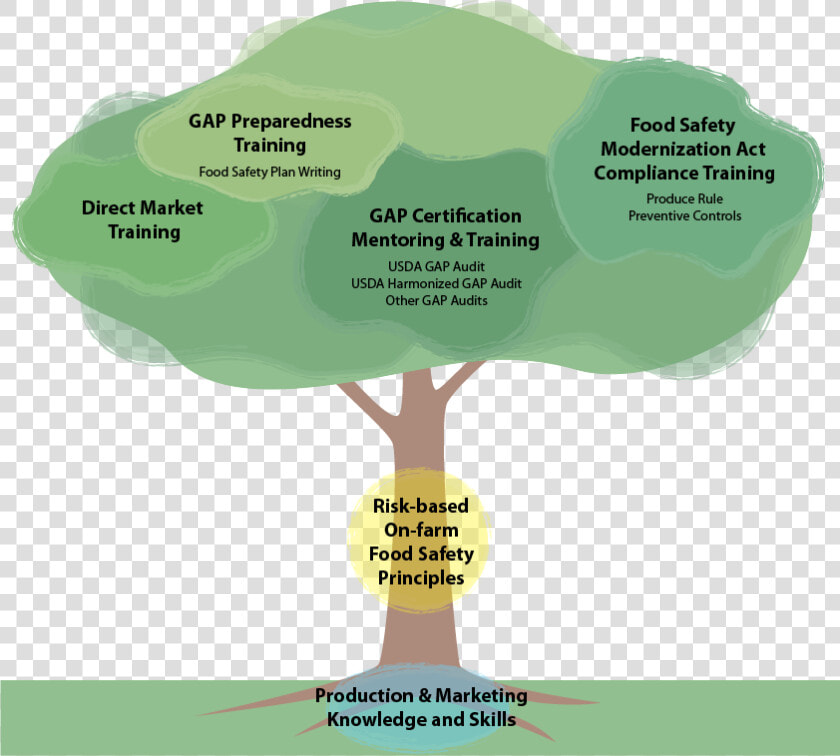 Competencies   Map  HD Png DownloadTransparent PNG