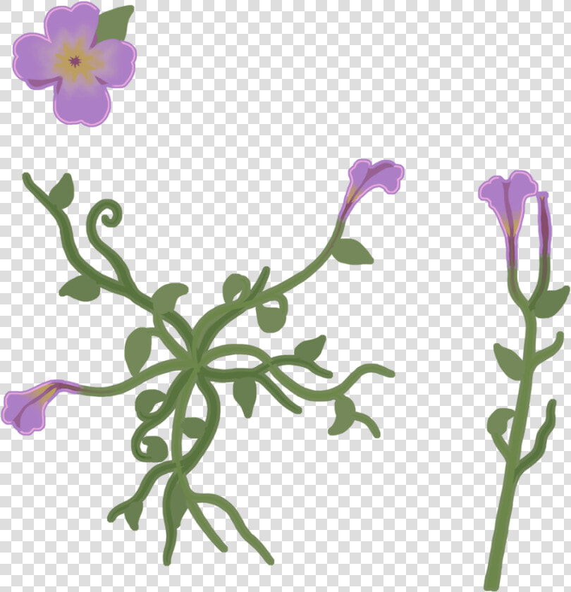 Flower Texture   Viola  HD Png DownloadTransparent PNG