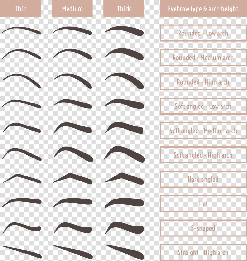 Bushy Eyebrows Png  Transparent PngTransparent PNG