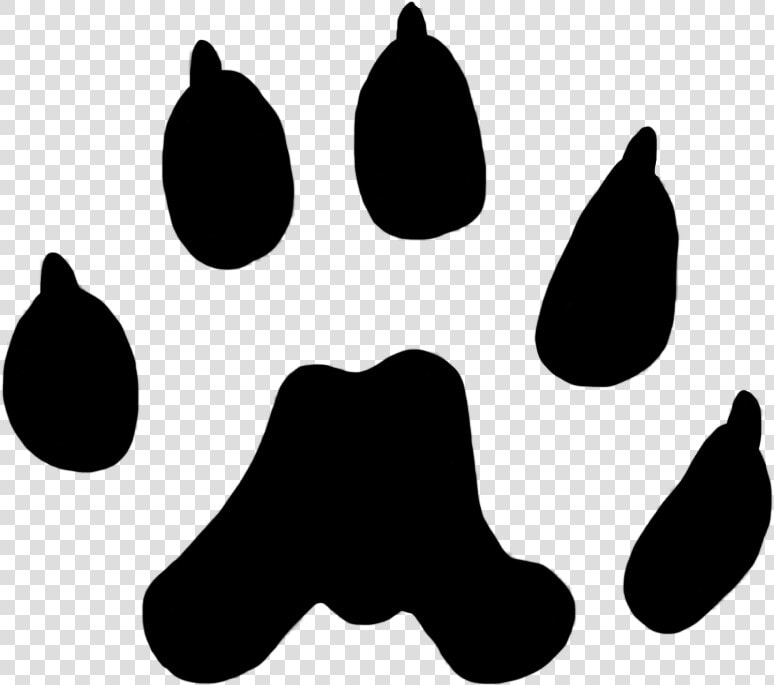 Weasel Paw Print 12 Mm  HD Png DownloadTransparent PNG