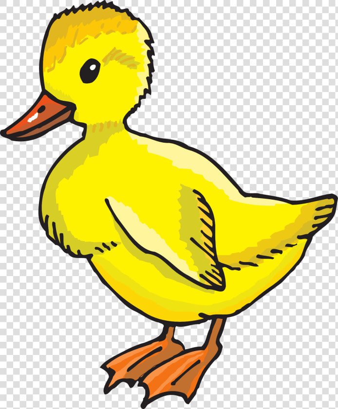 Duckling Clipart  HD Png DownloadTransparent PNG