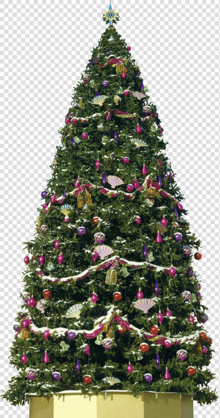 Big Decorative Christmas Tree Png Image   Big Christmas Tree Png  Transparent PngTransparent PNG