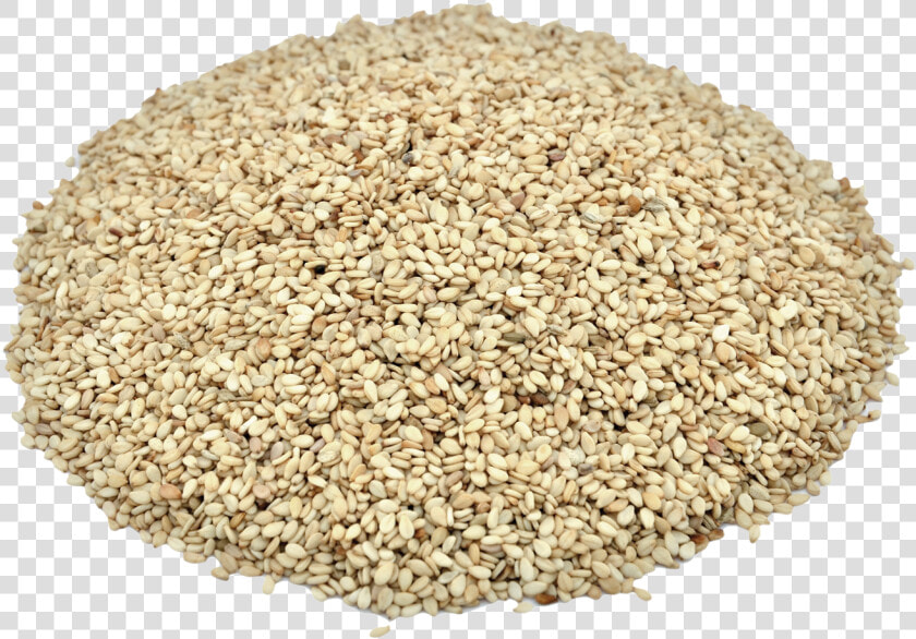 Herbs  amp  Botanicals sesame Seeds  HD Png DownloadTransparent PNG