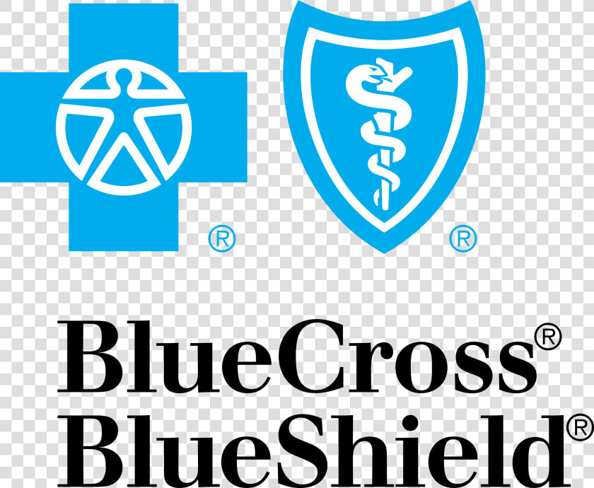 Blue Cross Blue Shield Logo Png  Transparent PngTransparent PNG