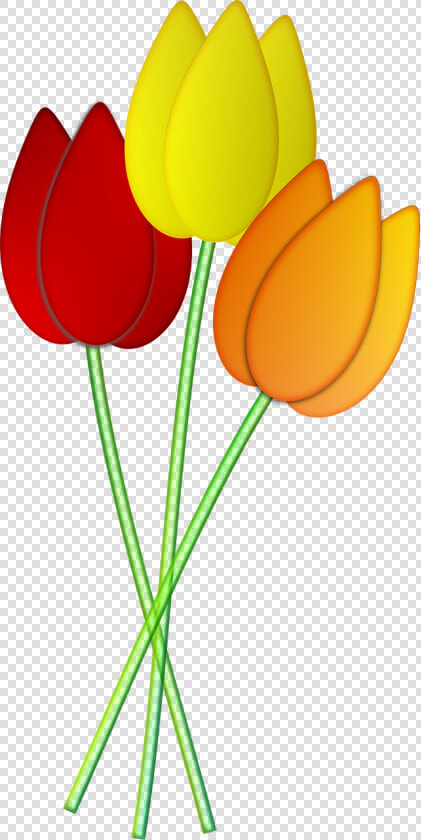 Tulips Flowers Spring Png Image   Tulips Flowers  Transparent PngTransparent PNG