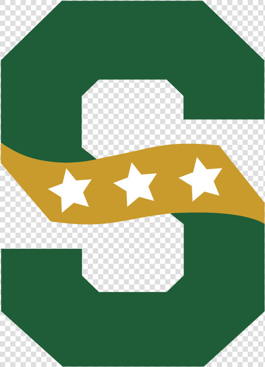 Adlai E Stevenson High School Logo  HD Png DownloadTransparent PNG