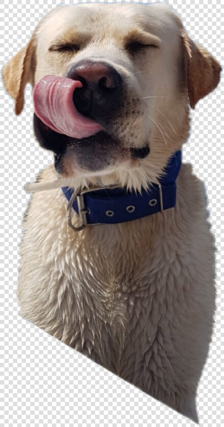 The Newest Tongueout Stickers On Picsart Png Stickers  Transparent PngTransparent PNG