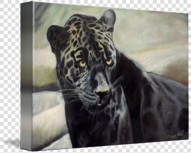 Black Jaguar Painting For Sale   Black Panther  HD Png DownloadTransparent PNG