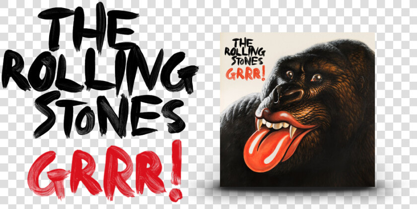 Transparent Rolling Stone Png   Common Chimpanzee  Png DownloadTransparent PNG