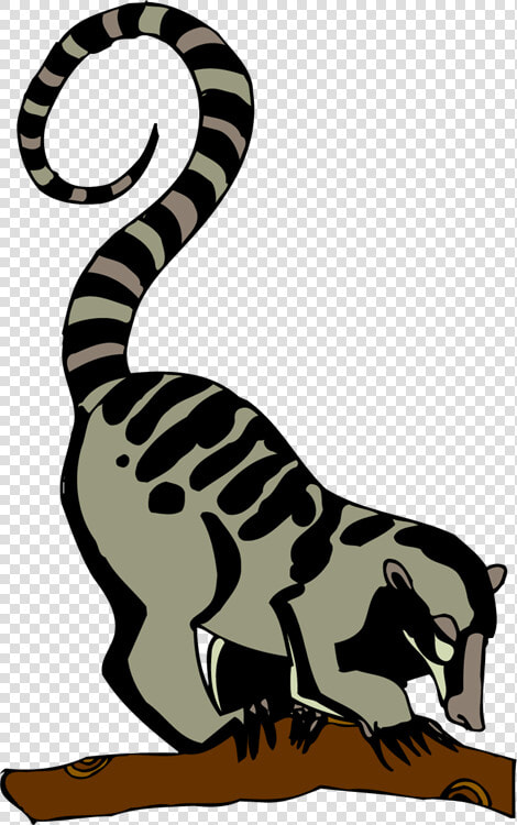 Lemur Clip Art  HD Png DownloadTransparent PNG