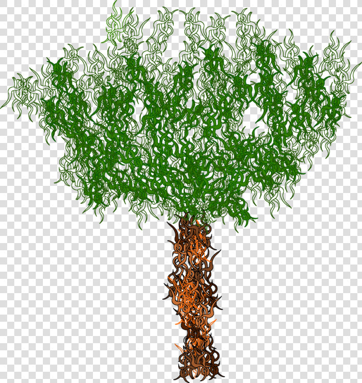 American Larch plant flower   Grass  HD Png DownloadTransparent PNG