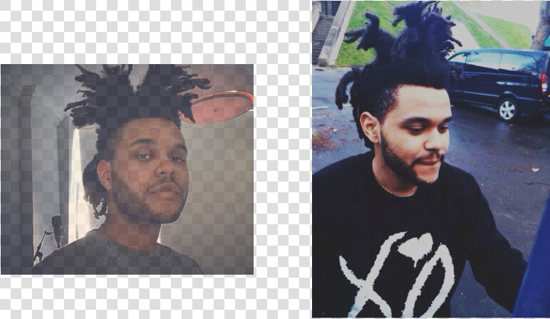 Picture   Weeknd Dreads  HD Png DownloadTransparent PNG