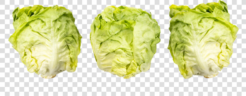 Iceburg Lettuce  HD Png DownloadTransparent PNG