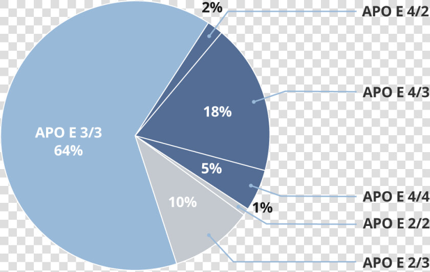 Pie Chart Showing Percentages Of Apo E Gene Types   Apoe Genotype  HD Png DownloadTransparent PNG