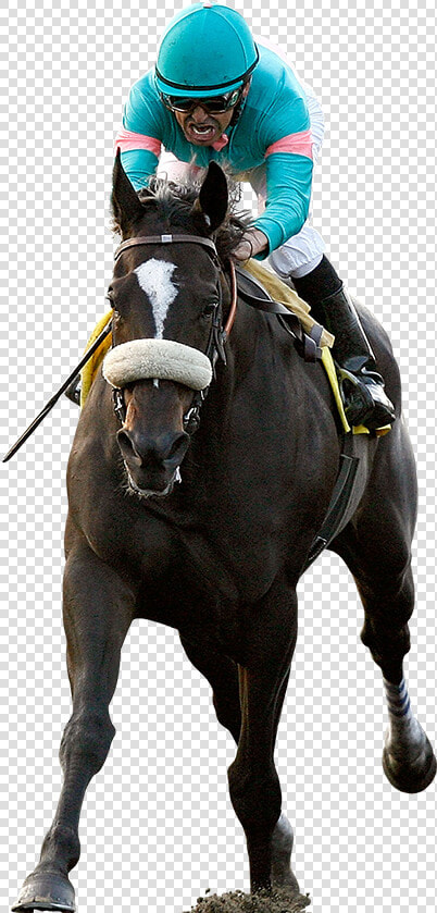 Horse Racing Jockey   Horse Racing Images Png  Transparent PngTransparent PNG