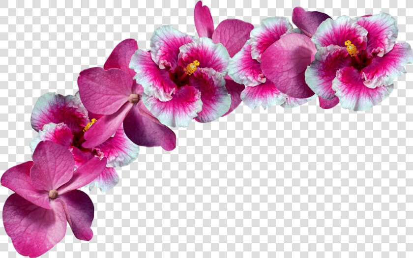  freetoedit flowers  crown  remixit   Pink Flower Crown Png  Transparent PngTransparent PNG