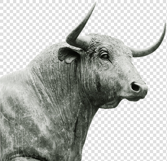 Bull Horns   Bull Horn And Ears  HD Png DownloadTransparent PNG