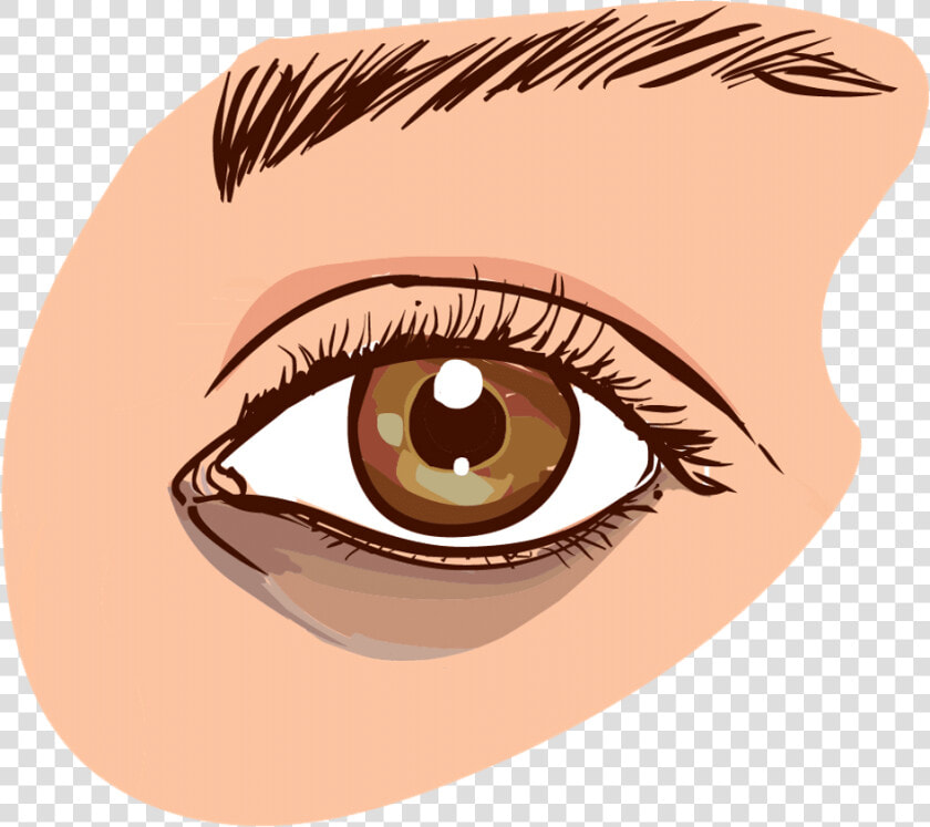 Brown Eyes Clipart Small Eye   Causes Dark Circles Eye  HD Png DownloadTransparent PNG