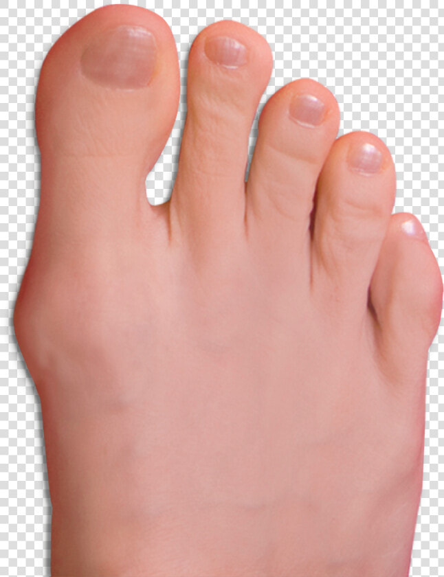 Transparent Toe Png   Toe Transparent  Png DownloadTransparent PNG