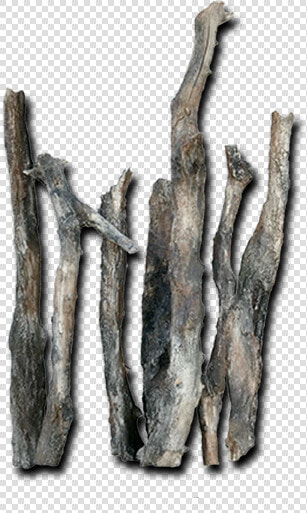 Logs Roots Bottom Rocks   Driftwood  HD Png DownloadTransparent PNG