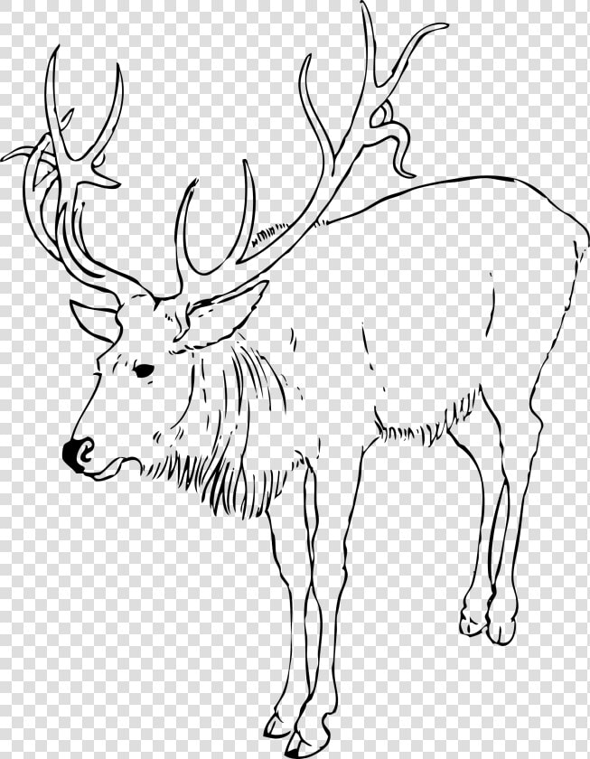 Reindeer Stag Svg Clip Arts   Reindeer Clipart Black And White  HD Png DownloadTransparent PNG