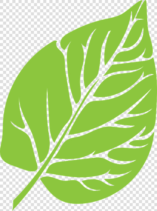 De La Hoja  Verde  Exuberante  El Crecimiento   Folha Verde Png  Transparent PngTransparent PNG