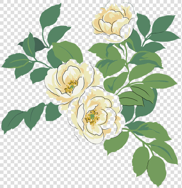 Japanese Camellia Red Watercolor Painting Illustration   Watercolor White Flower Png  Transparent PngTransparent PNG