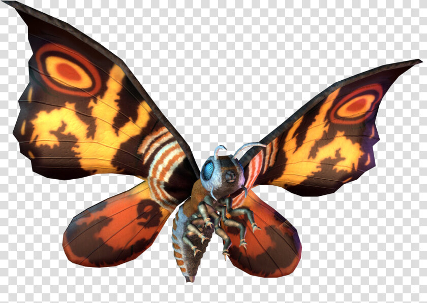 Atari Godzilla Wiki   Godzilla Unleashed Mothra  HD Png DownloadTransparent PNG