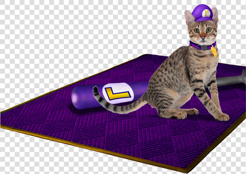 Waluigi’s Hat On Waluigi’s Cat Next Waluigi’s Bat On   Cat Grabs Treat  HD Png DownloadTransparent PNG