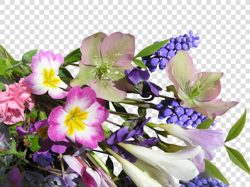 Flower Bunch Mixed Free Photo   Flower  HD Png DownloadTransparent PNG