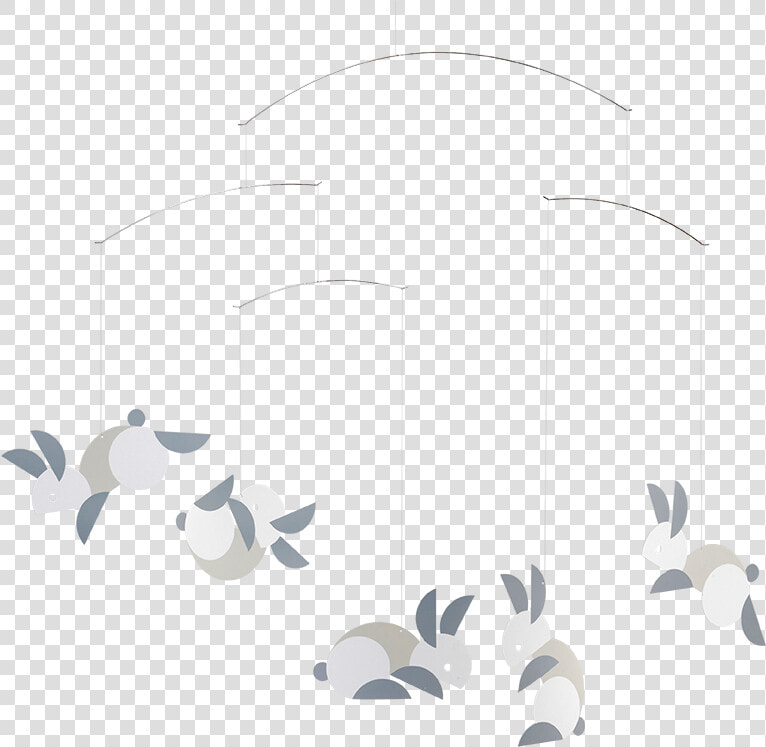 Gull  HD Png DownloadTransparent PNG