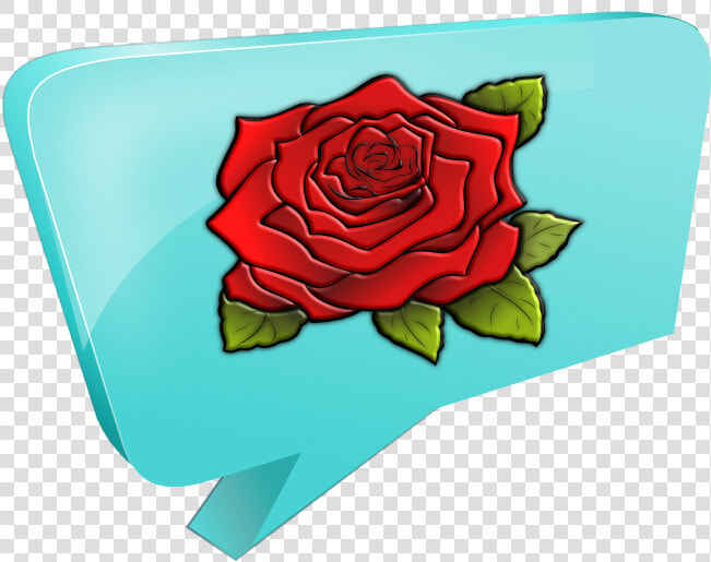 Transparent Imessage Icon Png   Garden Roses  Png DownloadTransparent PNG