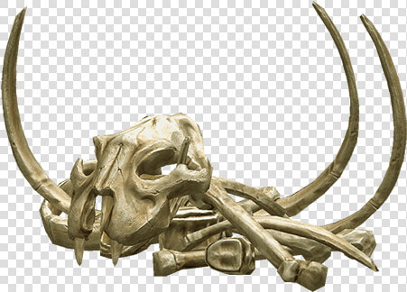 Download Bones Png Transparent 067   Bone  Png DownloadTransparent PNG