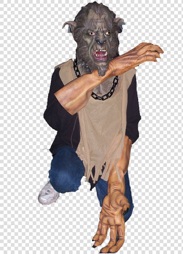 Boar  HD Png DownloadTransparent PNG