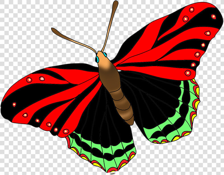 Black Red Butterfly Image   Red Butterfly Free Clipart  HD Png DownloadTransparent PNG