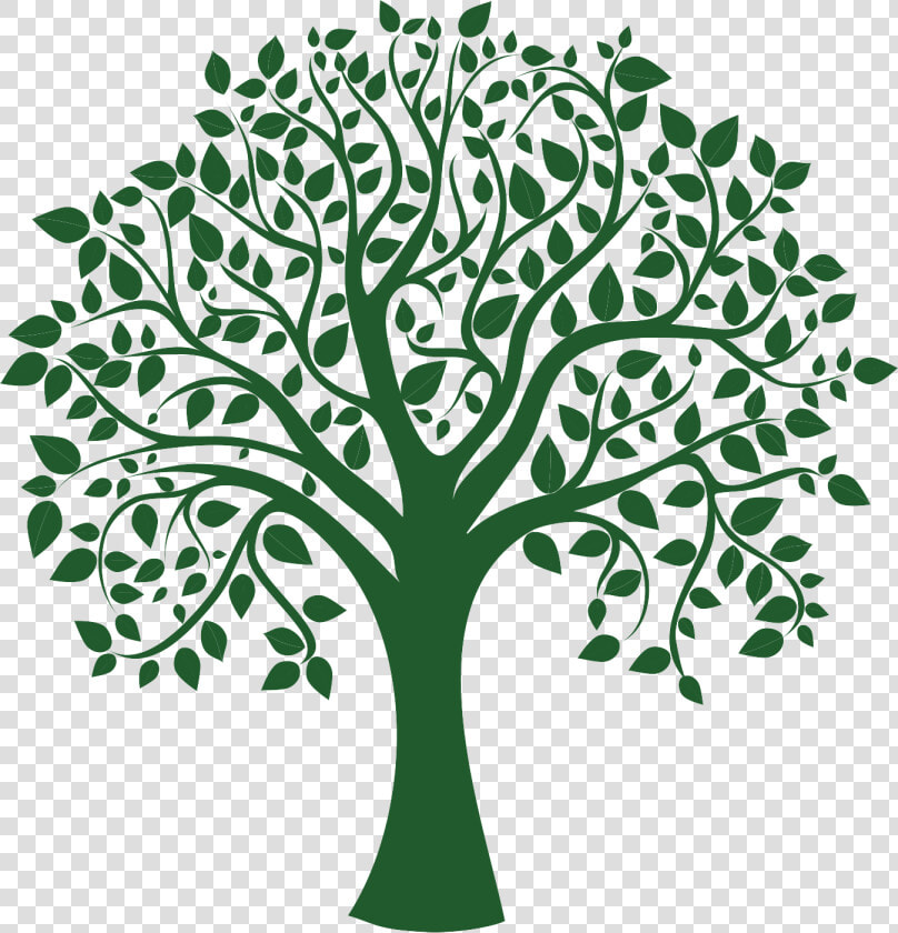 Clip Art Greentree Logo   Family Tree No Background  HD Png DownloadTransparent PNG