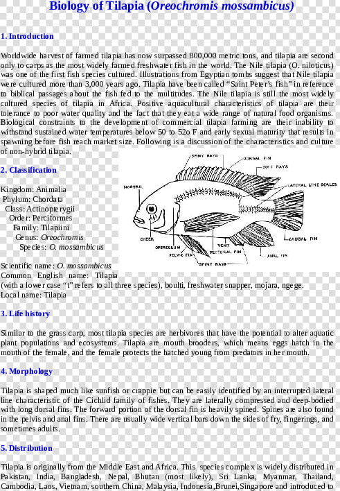 Document  HD Png DownloadTransparent PNG