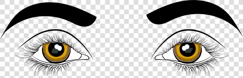 Transparent Eyes Cartoon Png   Human Eyes Clip Art  Png DownloadTransparent PNG