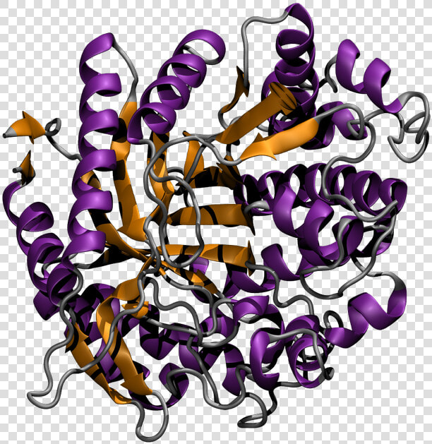 Transparent Light Source Png   Non Aqueous Homogenous Biocatalytic Conversion Of Polysaccharides  Png DownloadTransparent PNG