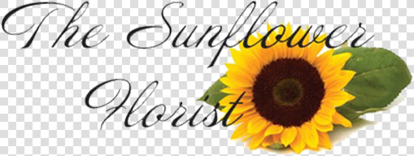 The Sunflower Florist   Sunflower  HD Png DownloadTransparent PNG