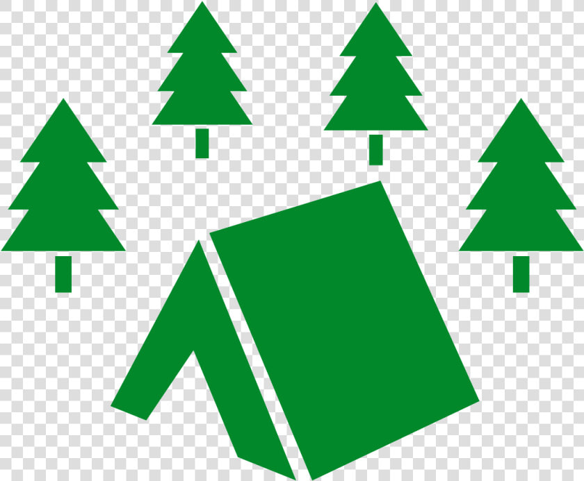 Christmas Tree Christmas Day Illustration Campsite   Campsite Jack O Lantern  HD Png DownloadTransparent PNG