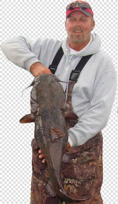 Catfish Conference  HD Png DownloadTransparent PNG