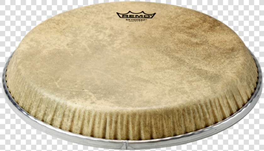 Remo Fiberskyn De Congas  HD Png DownloadTransparent PNG