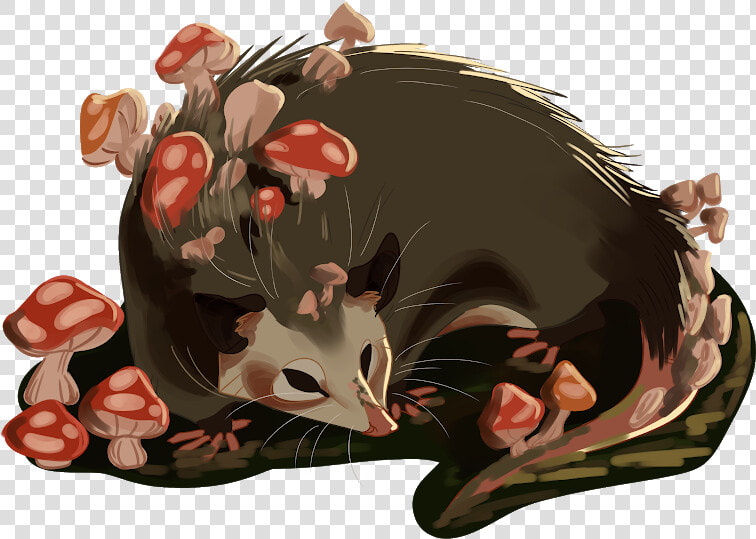 Mushroom Opossum   Illustration   Opossum Illustration  HD Png DownloadTransparent PNG